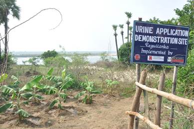 Urine application demonstration